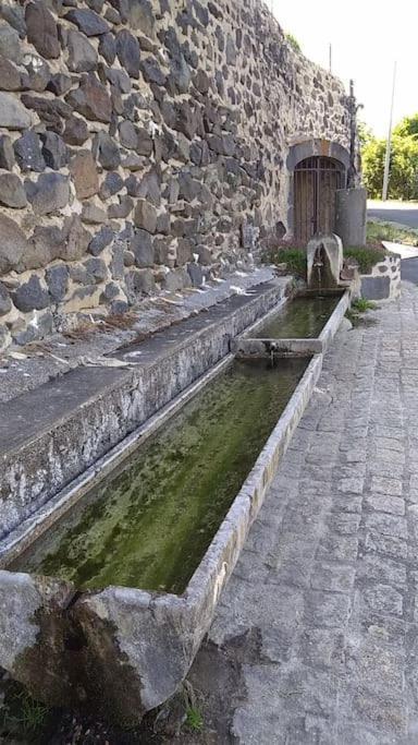 La Maisonnette Sous Le Cerisier Bergonne Zewnętrze zdjęcie