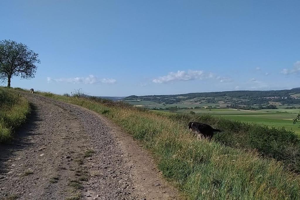 La Maisonnette Sous Le Cerisier Bergonne Zewnętrze zdjęcie